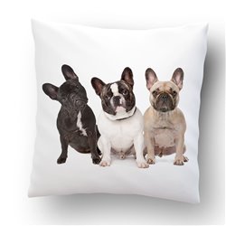 "Buldogi" - poduszka na każdą okazję, rozm.  40 x 40cm, mikrofibra .