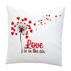 Love is in the air - poduszka na Walentynki.