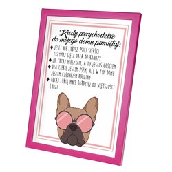 Plakat w ramie lub bez ramy - "Zasady odwiedzin w domu, którym mieszka pies".