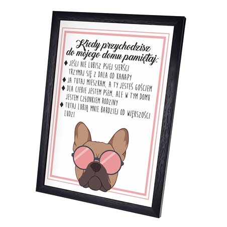 Plakat w ramie lub bez ramy - "Zasady odwiedzin w domu, którym mieszka pies".