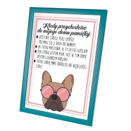 Plakat w ramie lub bez ramy - "Zasady odwiedzin w domu, którym mieszka pies".