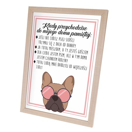 Plakat w ramie lub bez ramy - "Zasady odwiedzin w domu, którym mieszka pies".