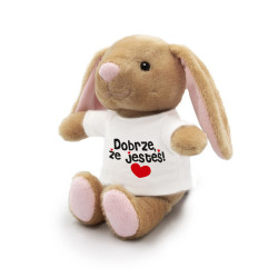 Królik brązowy dla bliskiej Ci osoby- Dobrze, że jesteś-... 2