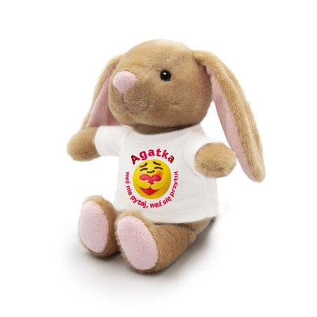 Królik brązowy dla bliskiej Ci osoby- Weź nie pytaj, weź się przytul - różowy lub niebieski- 18cm.